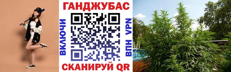 Какие есть наркотики Городец Галлюциногенные грибы  МДМА  МАРИХУАНА  Кокаин  Alpha-PVP 