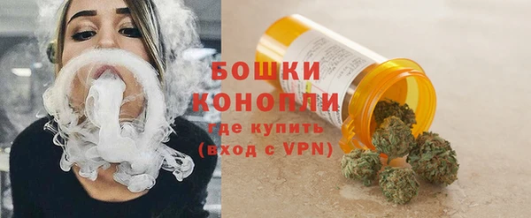 метадон Гусев