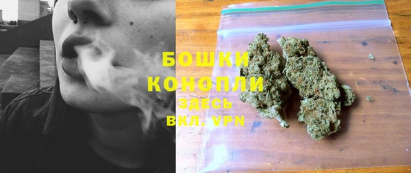 метадон Гусев