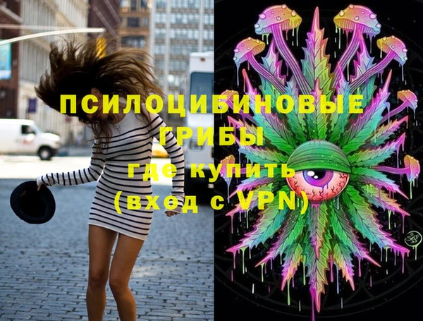 дурь Кодинск