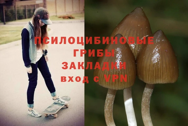 меф VHQ Гусиноозёрск