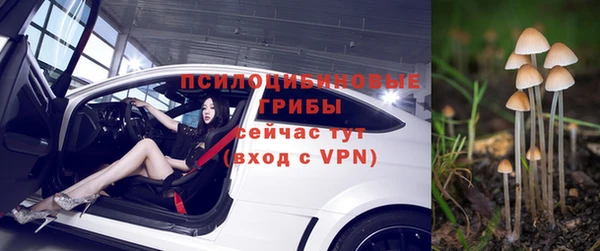кокс Карпинск