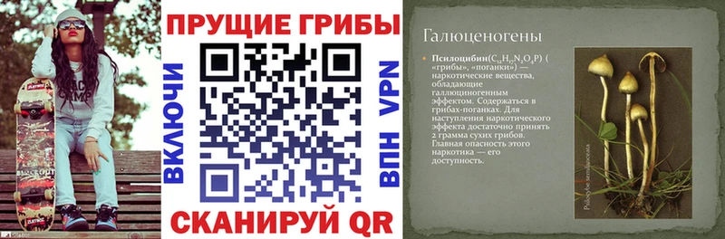 Галлюциногенные грибы мухоморы  купить  цена  Городец 
